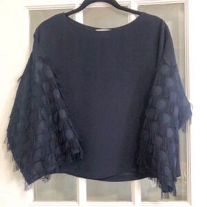 MASSIVE $10 SALE H&M Cropped Blouse with Statement Sleeves